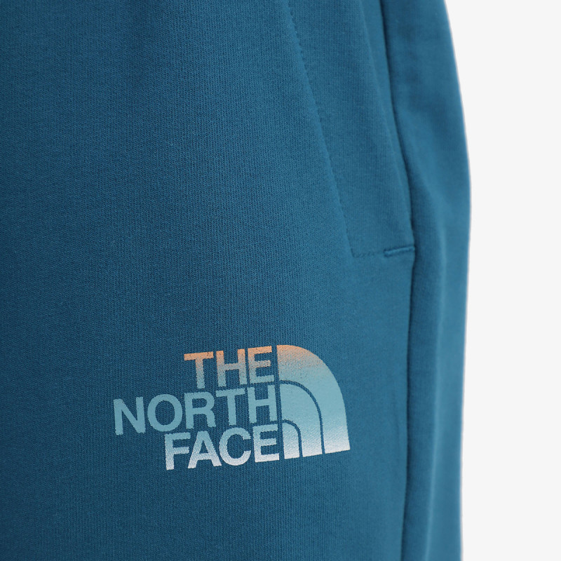 The North Face D2 Graphic 