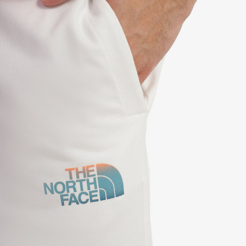 The North Face Men’s D2 Graphic Short - Eu 