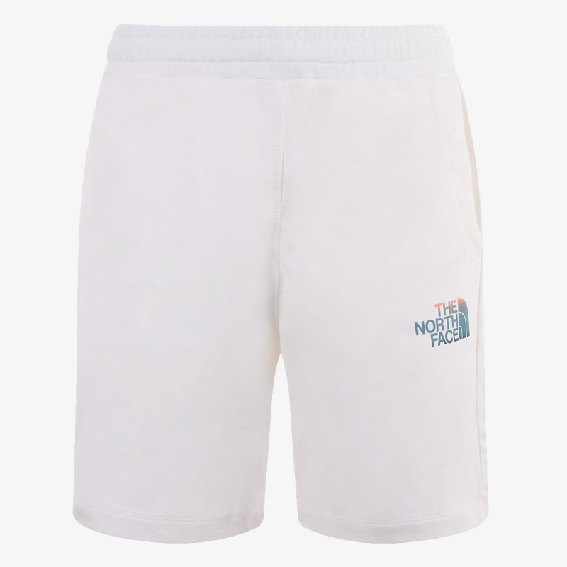 The North Face Men’s D2 Graphic Short - Eu 