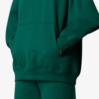The North Face W ESSENTIAL HOODIE 