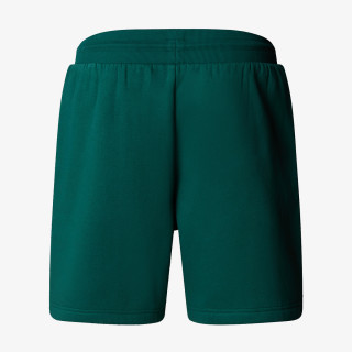 The North Face Men’s Box Nse Regular Short 