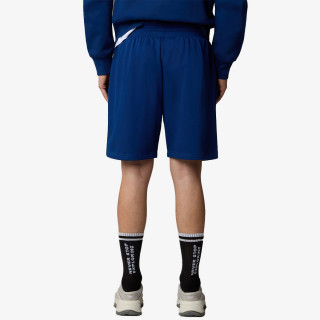 The North Face Men’s Box Nse Regular Short 